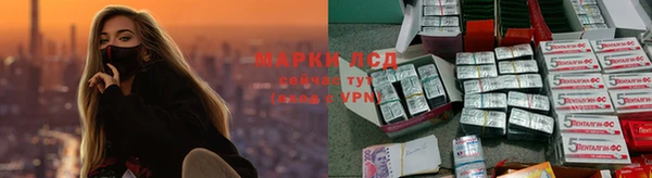спиды Ладушкин