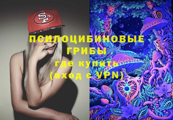 гидра Лабытнанги