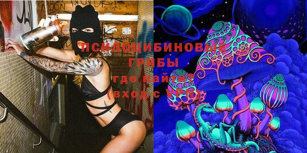 спиды Ладушкин