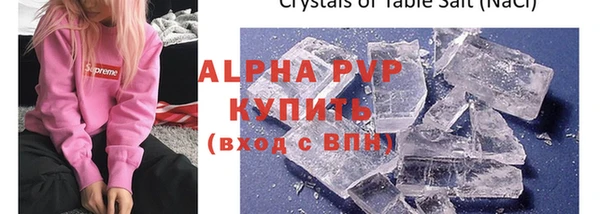 спиды Ладушкин