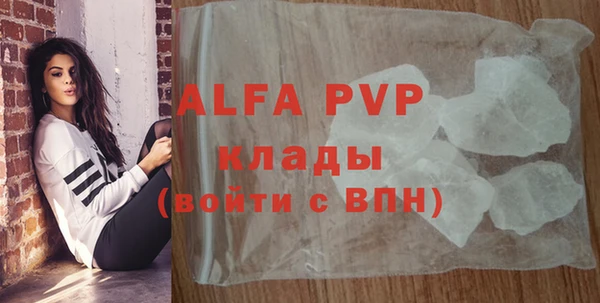 спиды Ладушкин