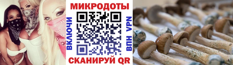ссылка на мегу как войти  Чапаевск  Псилоцибиновые грибы ЛСД 
